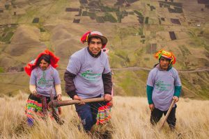 Reforestation avec des arbres indigènes