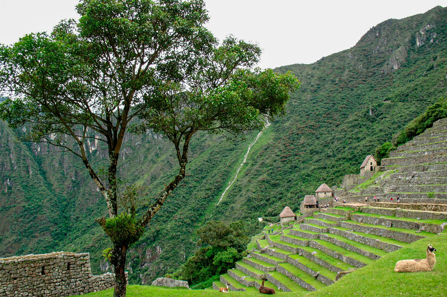 Meilleure date pour voyager au Machu Picchu Meilleure date pour voyager au Machu Picchu