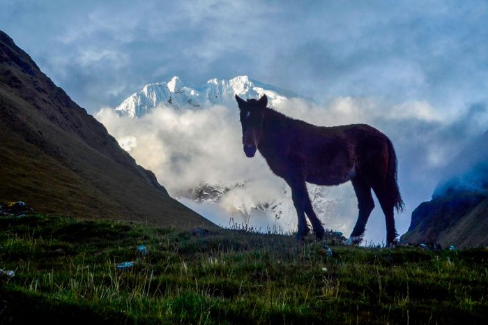 Trek Salkantay 5 jours