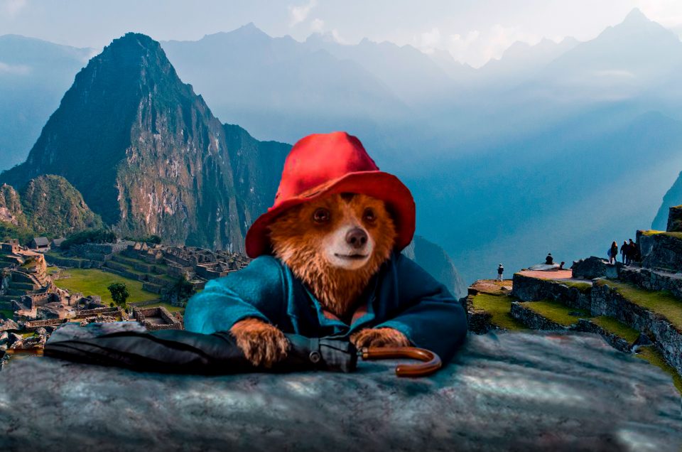 Pérou et Paddington : Les Aventures de l’Ours à Machu Picchu