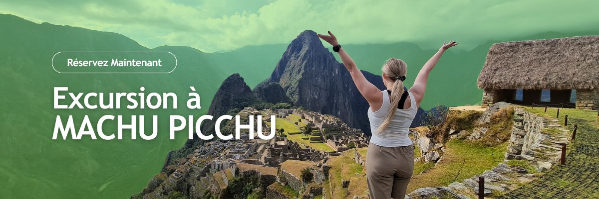 le machu picchu